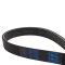 Serpentine Belt