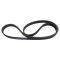 Serpentine Belt