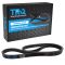 Serpentine Belt