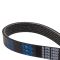 Serpentine Belt