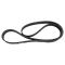 Serpentine Belt