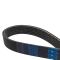 Serpentine Belt