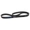 Serpentine Belt