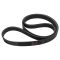 Serpentine Belt