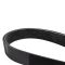 Serpentine Belt