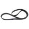 Serpentine Belt