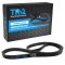 Serpentine Belt