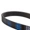 Serpentine Belt