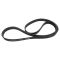 Serpentine Belt