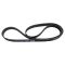 Serpentine Belt
