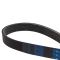 Serpentine Belt
