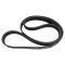 Serpentine Belt