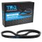 Serpentine Belt