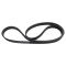 Serpentine Belt