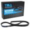 Serpentine Belt