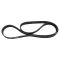 Serpentine Belt