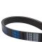 Serpentine Belt