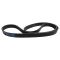 Serpentine Belt