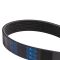 Serpentine Belt