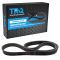 Serpentine Belt