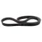 Serpentine Belt