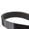 Serpentine Belt