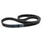 Serpentine Belt