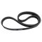 Serpentine Belt