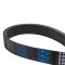 Serpentine Belt