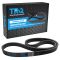 Serpentine Belt
