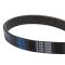 Serpentine Belt