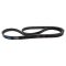 Serpentine Belt