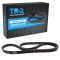 Serpentine Belt