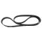 Serpentine Belt