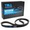 Serpentine Belt