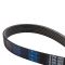 Serpentine Belt