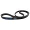 Serpentine Belt