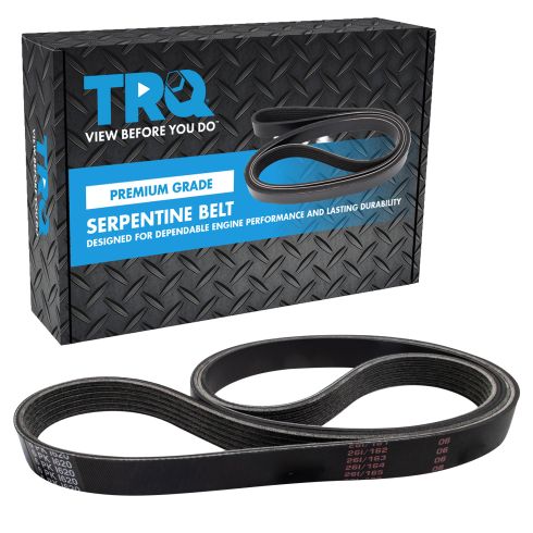 Serpentine Belt