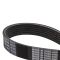 Serpentine Belt