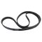 Serpentine Belt
