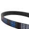 Serpentine Belt