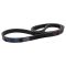 Serpentine Belt