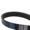Serpentine Belt