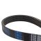 Serpentine Belt