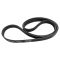 Serpentine Belt