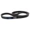 Serpentine Belt