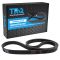 Serpentine Belt
