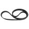 Serpentine Belt