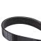 Serpentine Belt