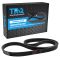 Serpentine Belt